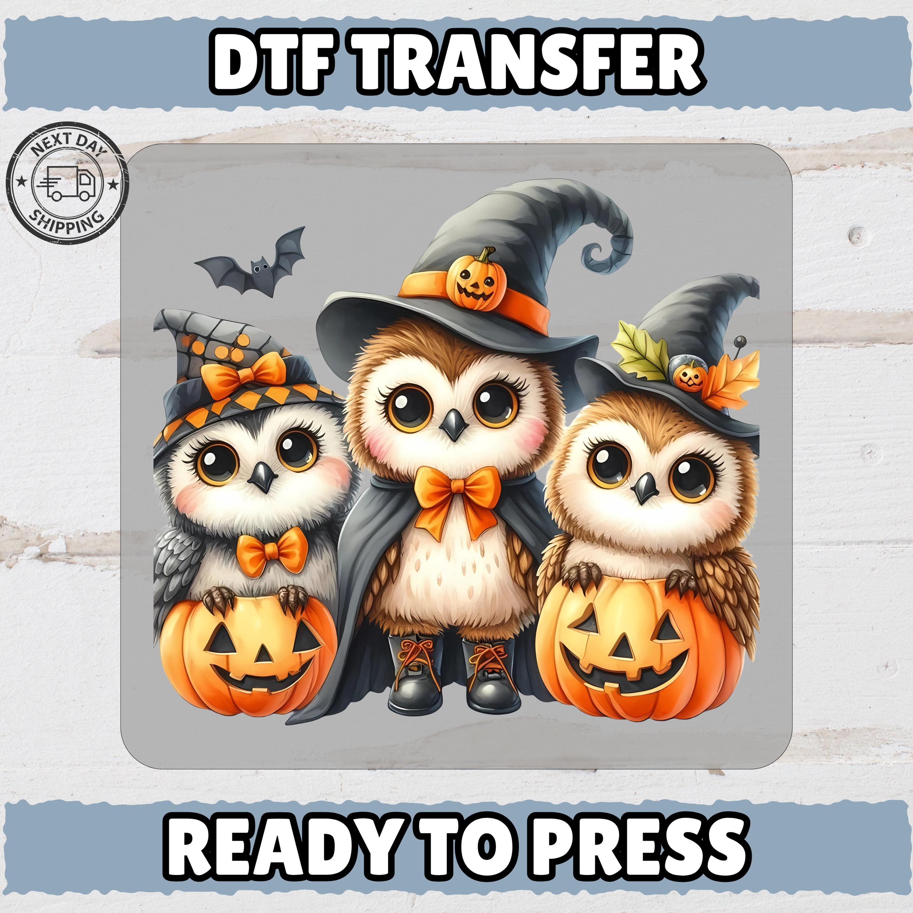 Cute Halloween Owls  Pumpkins DTF Transfer Iron-On for Family T-Shirts & Hoodies - Adorable Tric