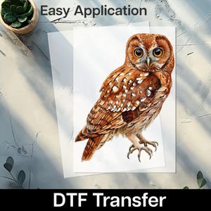 May include: A DTF transfer featuring a detailed watercolor illustration of an owl. The owl has brown and white feathers, large yellow eyes, and is perched on a white background. The text "Easy Application" and "DTF Transfer" are also visible.