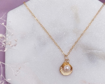 May include: A gold chain necklace with a small seashell pendant. The seashell is open and contains a white pearl.