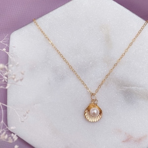 14K Gold Filled Shell Necklace Shell Pearl Necklace Gold Shell Necklace Mermaid Shell Necklace Gift for Mother Day Gift Gold Shell Earrings