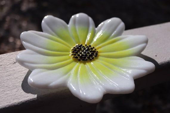 Daisy Trinket Dish with Black and Yellow Center