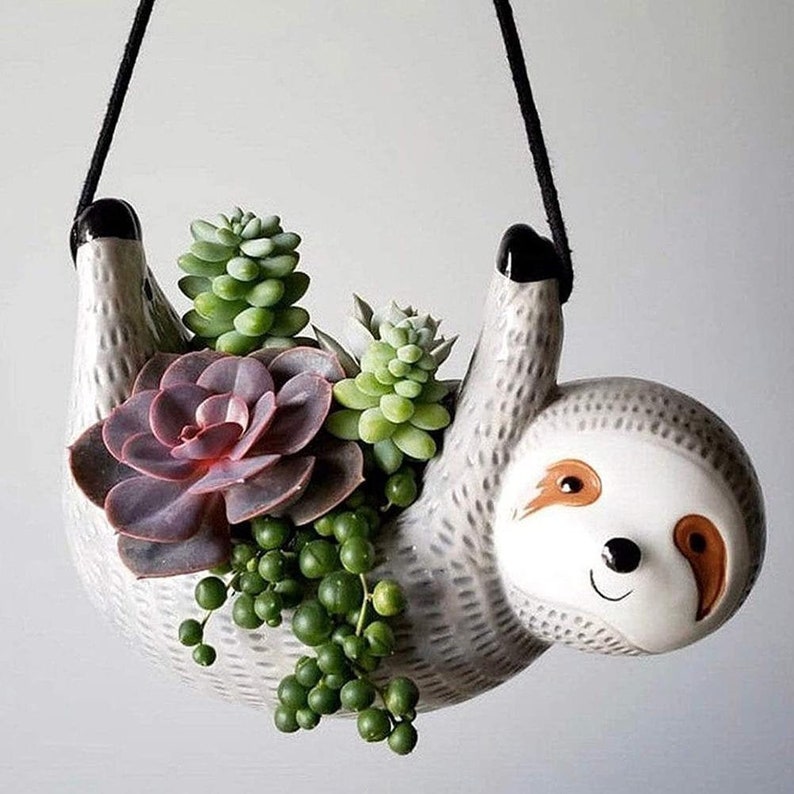 sloth planter with succulents