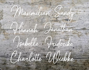 Font No.9 Iron-on image names, plotted, iron-on, custom text, flex foil, lettering, textile