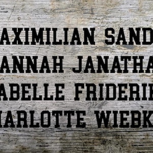 Font No.14 Iron-on image names, plotted, iron-on, custom text, flex foil, lettering, textile