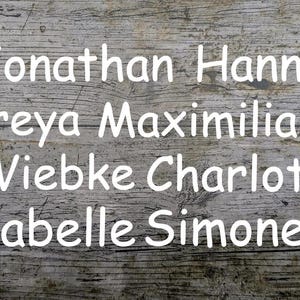 Font No.3 Name Iron-on, plotted, iron-on, custom text, flex foil, lettering, textile