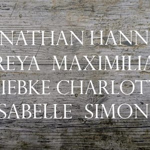 Font No. 42 iron-on image, name plotted, iron-on, desired text, flex foil, lettering, textile