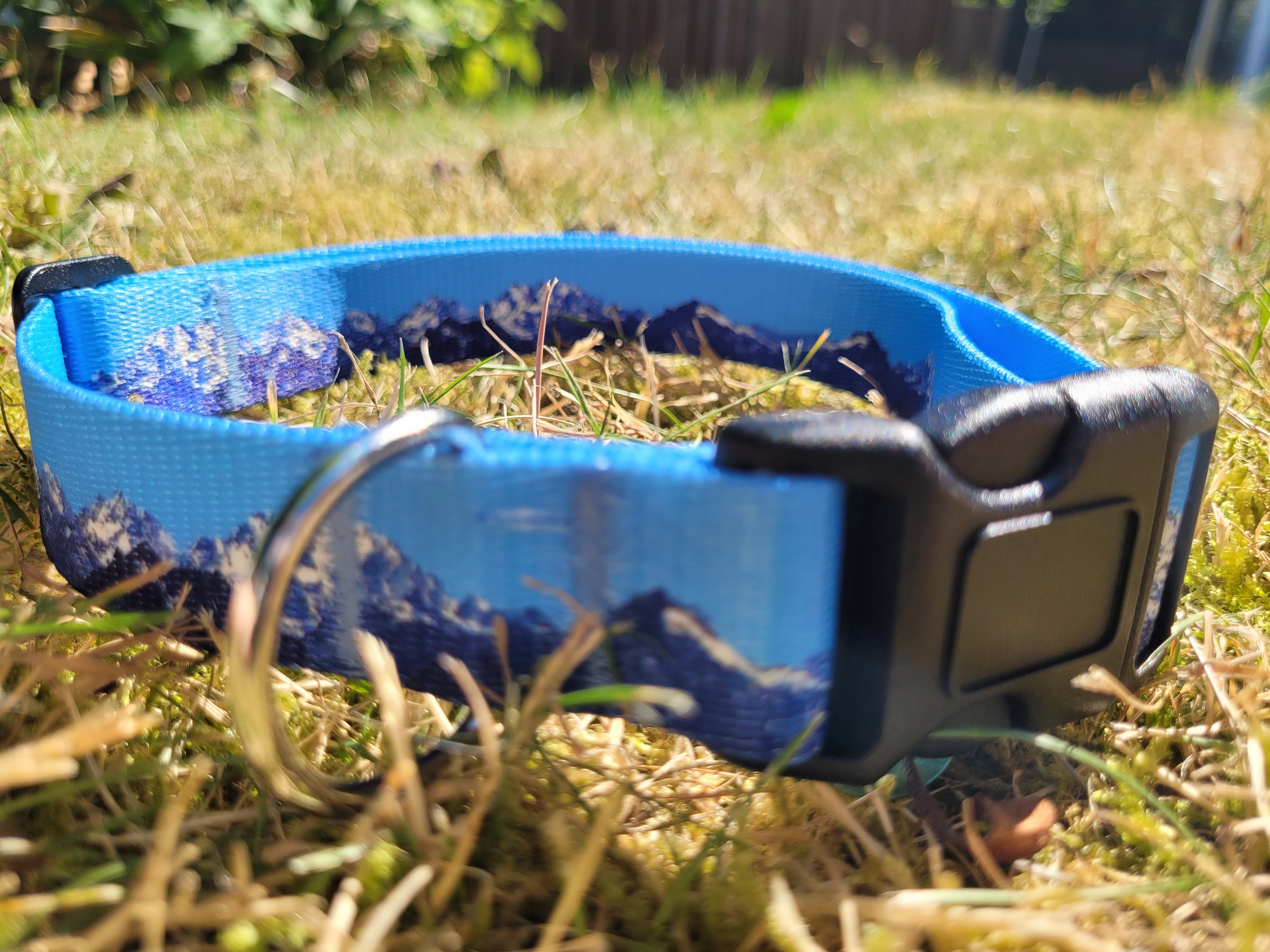 Handmade Adventure Dog Collar Mountain Dog Collar Unique Etsy