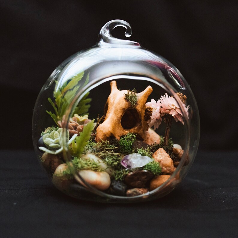 Mini Terrarium Ornament Pokémon Legend of Zelda Animal Etsy