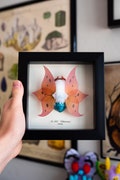Volcarona Pokemon Taxidermy Moth Framed Wall Decor Oddities Curiosities Display Gift