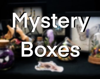 Overcast Oddities Mystery Box - Legend of Zelda - Pokémon