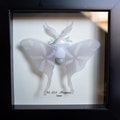 Frosmoth Pokemon Taxidermy Moth Framed Wall Decor Oddities Curiosities Display Gift