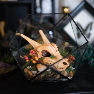 Könnte beinhalten: Ein gläsernes Terrarium mit einem Keramikschädel eines Drachen, Moos, kleinen Steinen und roten und orangen Beeren.
