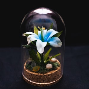 Silent Princess - Legend of Zelda Mini Terrarium Breath of the Wild