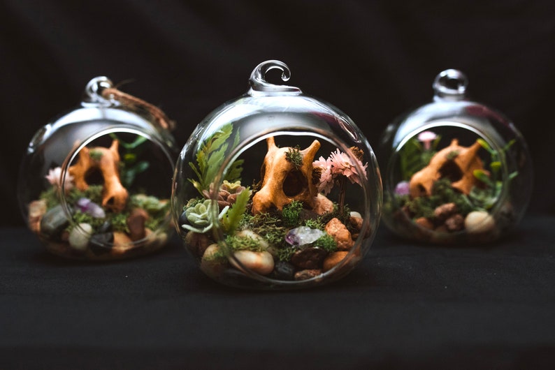 Mini Terrarium Ornament Pokémon Legend of Zelda Animal Etsy
