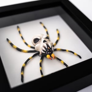 May include: A black and yellow spider with a white skull-like head and orange accents is displayed in a black frame. The spider has a menacing expression with sharp teeth and a black and white patterned body.