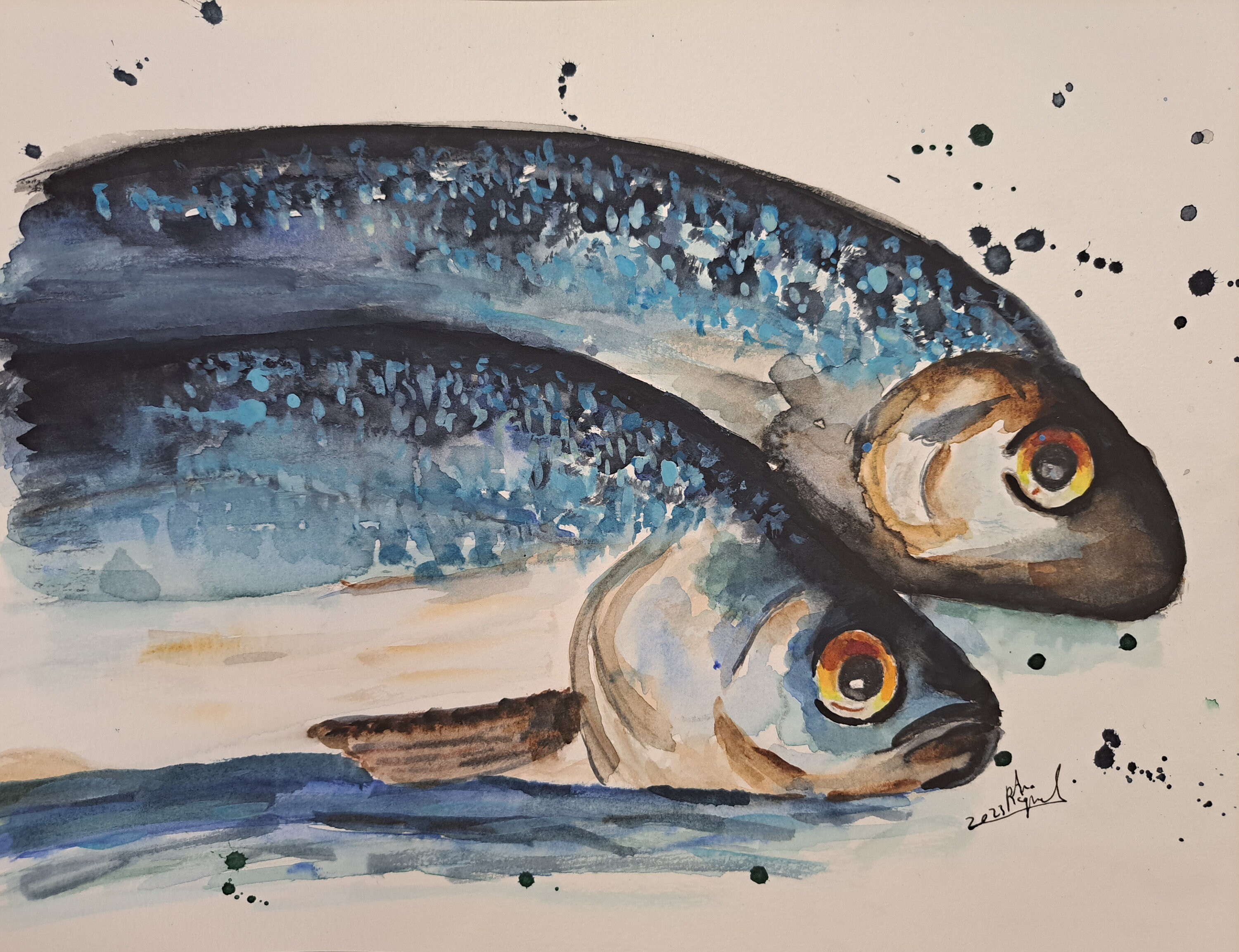 Sardine Watercolor Sardinhas Etsy