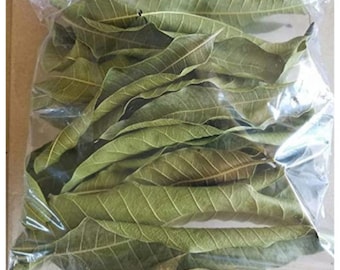 Té de hoja de mango seco orgánico: bebida natural de hierbas