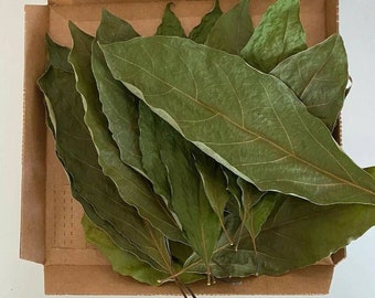 Organic Dried Avocado Leaves | Herbal Tea from Ceylon