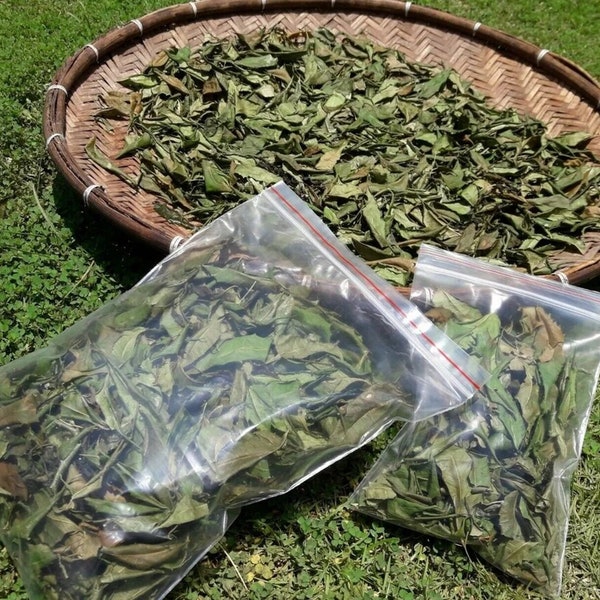 Neem Leaves, 100% Organically Grown Hand picked , Sund dried neem leaf,