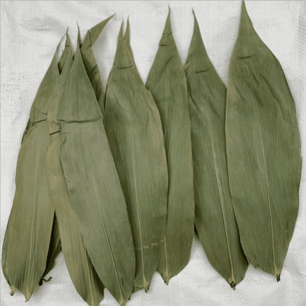 Bamboo Leaves, Herbs Tea and Floral Art Craft, Dried Bamboo Leaves pack