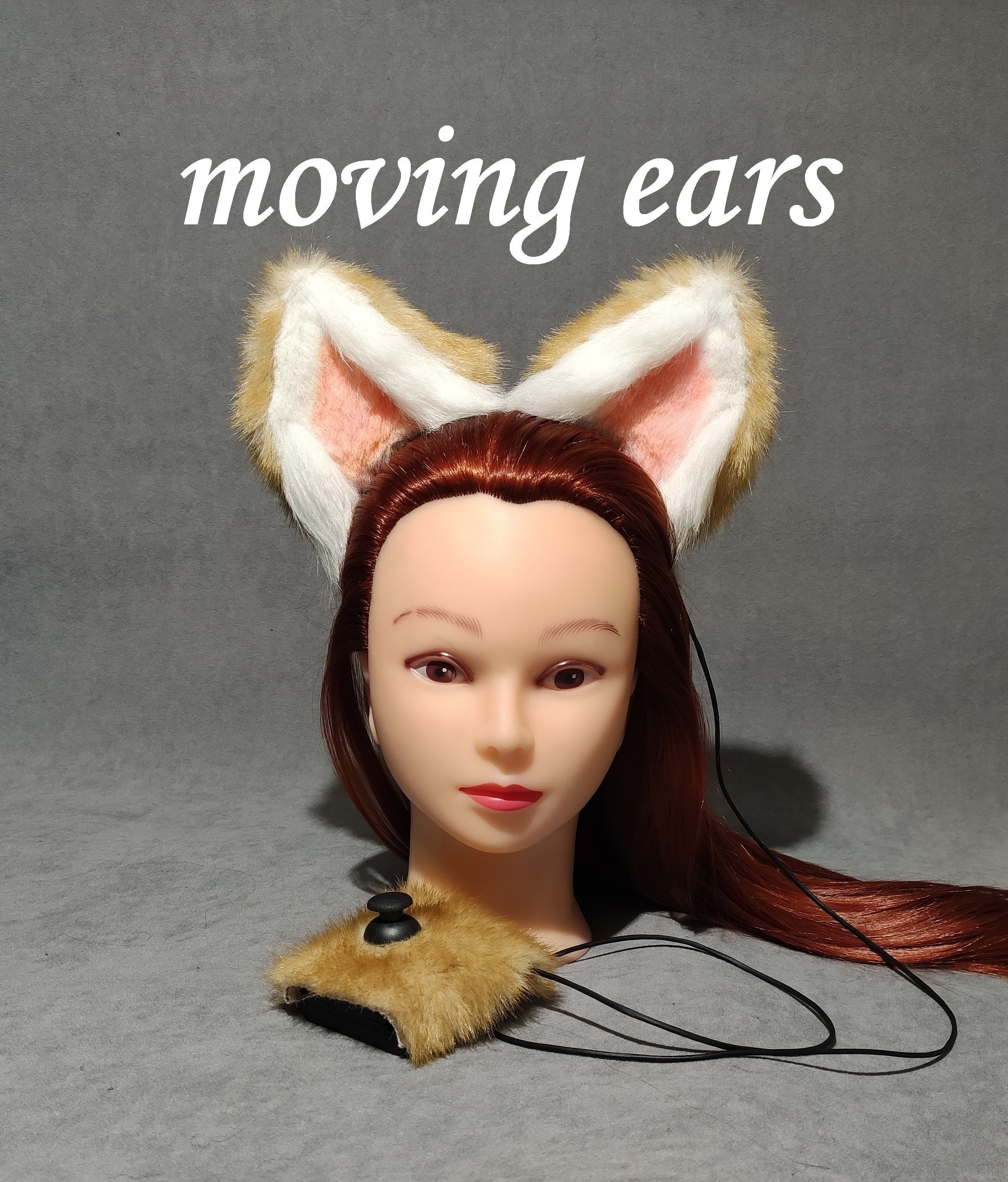 Moving cat sale ears