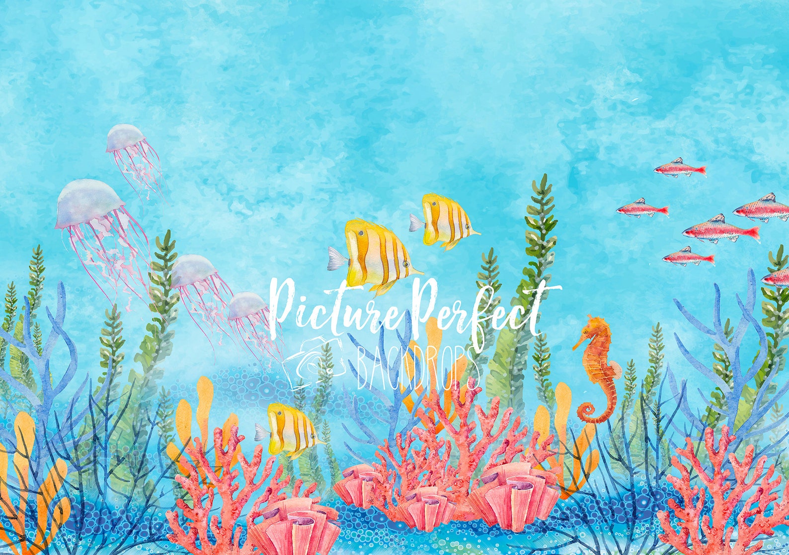 Under the Sea Backdrop Etsy