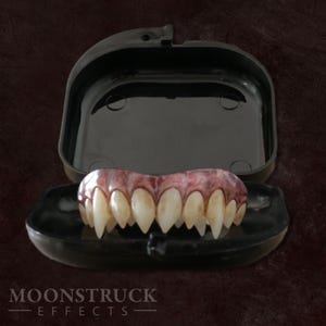 FX-tandenopbergdoos – houder voor gebit in meerdere kleuren – compacte prothesehouder voor cosplay en tanden met speciale effecten