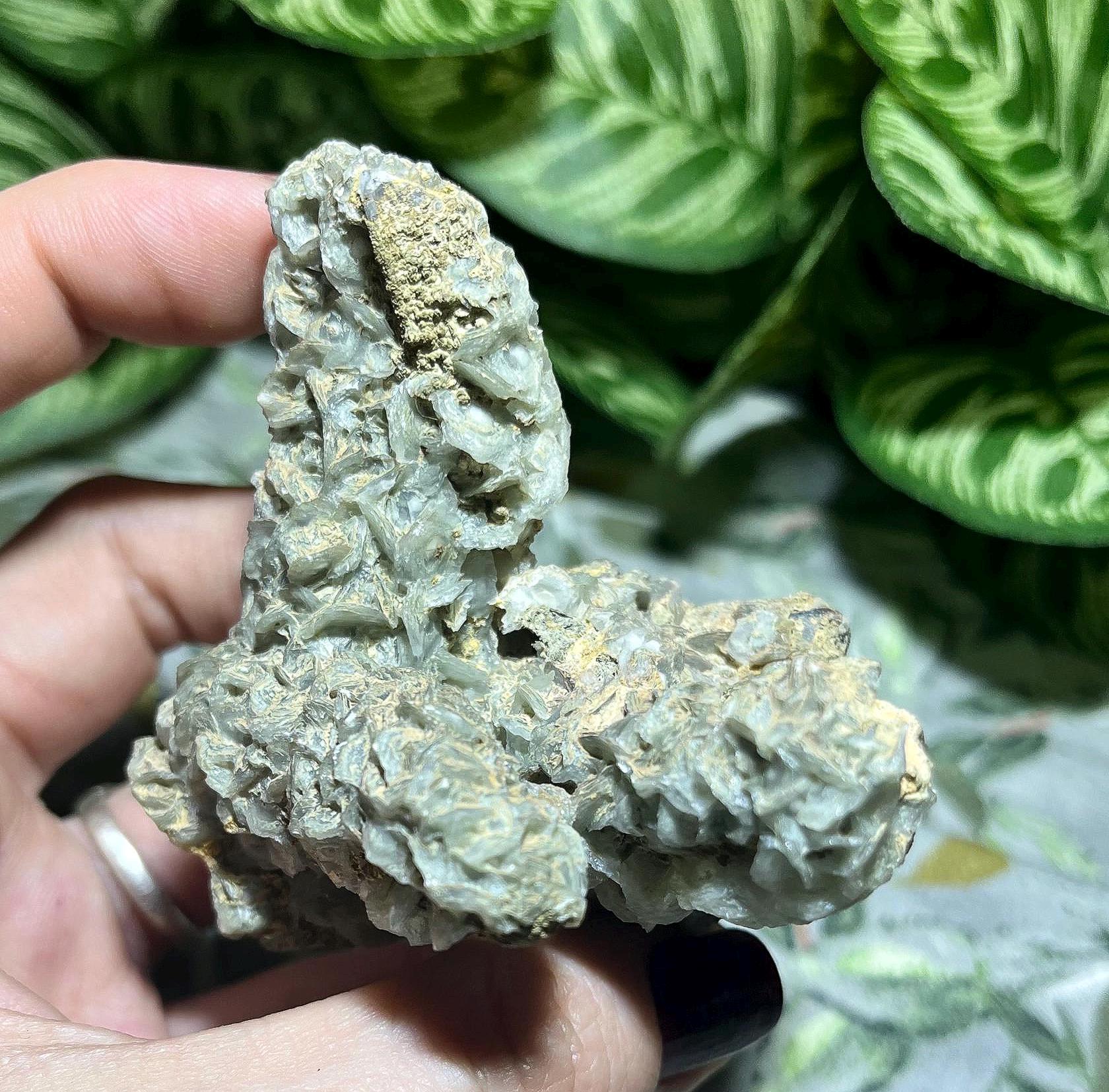 ♯Hvi12DZ もやしもん かもされ 水晶 ストラップ3 全6種 ♯Hvi12DZ もやしもん かもされ 水晶 ストラップ3 全6種