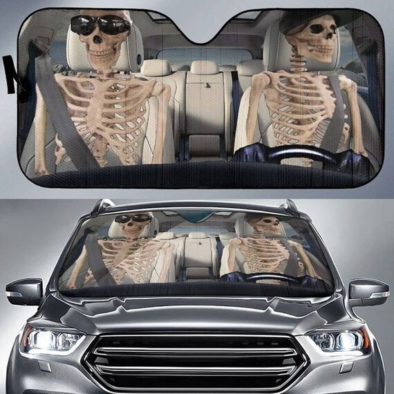 Fun car sun shade discount