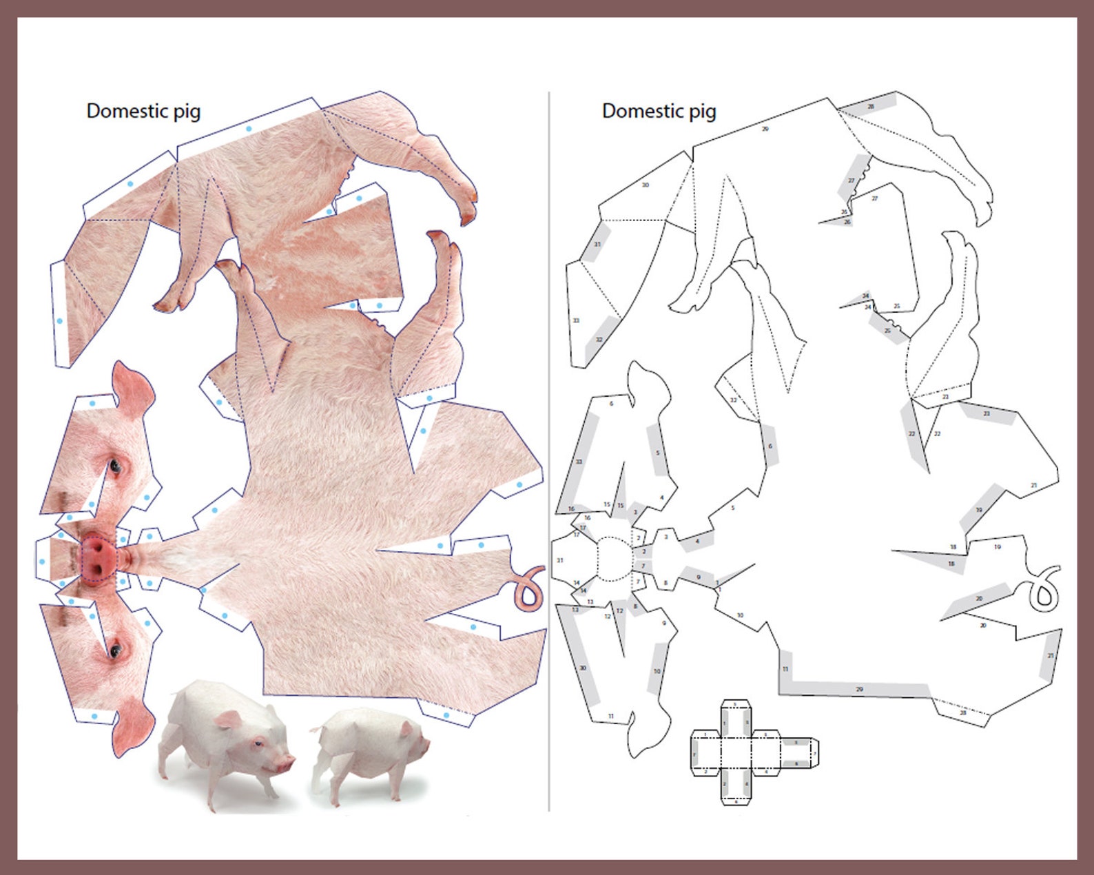 Domestic Pig 3d Papercraft Animals Papercraft Printable Etsy