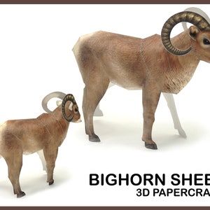 BIGHORN SHEEP 3D Papercraft / 3d model / papercraft template / Paper Sculpture / Paper Trophy / Paper Model / Pdf Template / Home Decor