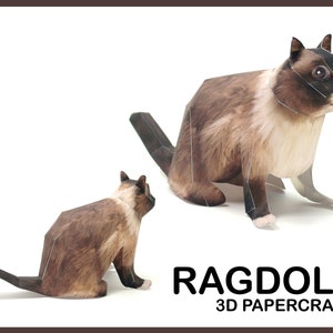 RAGDOLL 3D Papercraft / ragdoll chat paper craft / chaton 3d papercraft / chat 3d sculpture papier / DIY chat modèle numérique pdf / décor chat