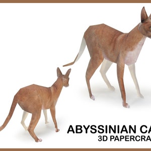 ABYSINIAN CAT 3D Papercraft / manguera gato papercraft / kit de origami de gatito / modelo de papel gatito / descarga instantánea pdf / estatua de papel de gato diy