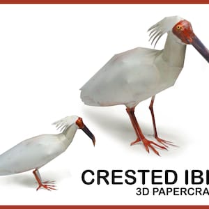 CRESTED IBIS 3D Papercraft / DIY pdf template / papercraft animals / papercraft model / 3d paper animal / zoo creative sculpture printable