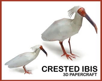CRESTED IBIS 3D Papercraft / DIY pdf template / papercraft animals / papercraft model / 3d paper animal / zoo creative sculpture printable