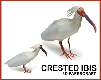 CRESTED IBIS 3D Papercraft / DIY pdf template / papercraft animals / papercraft model / 3d paper animal / zoo creative sculpture printable