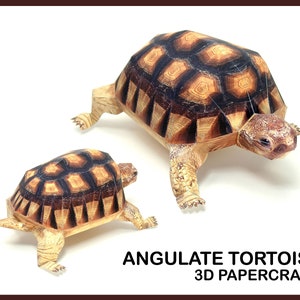 ANGULATE TORTOISE 3D Papercraft / 3d Origami / Paper Model / Animals 3d Papercraft / 3d Paper Craft Model / Animal Sculpture / Printable DIY
