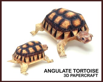 ANGULATE TORTOISE 3D Papercraft / 3d Origami / Paper Model / Animals 3d Papercraft / 3d Paper Craft Model / Animal Sculpture / Printable DIY