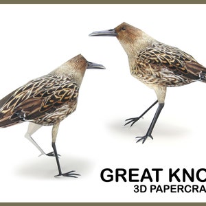 May include: Two brown and black Great Knot birds with long legs and beaks. The birds are in a standing position with their wings folded. The text "GREAT KNOT 3D PAPERCRAFT" is printed below the birds.