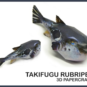 TAKIFUGU RUBRIPES 3D Papercraft / pez origami 3d / animales papercraft / modelo de papel pez / decoración origami DIY / descarga instantánea pdf