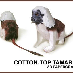 COTTON-TOP TAMARIN 3D Papercraft / 3d Origami / Papercraft Template / Papercraft Model / Pdf Template / Instant Download / Digital Animals