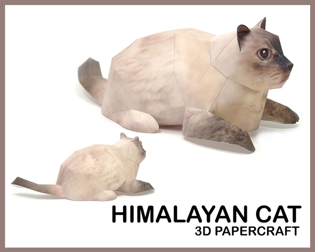 HIMALAYAN CAT 3D Papercraft / 3D Origami Cat / Paper Craft Cat / 3D PDF