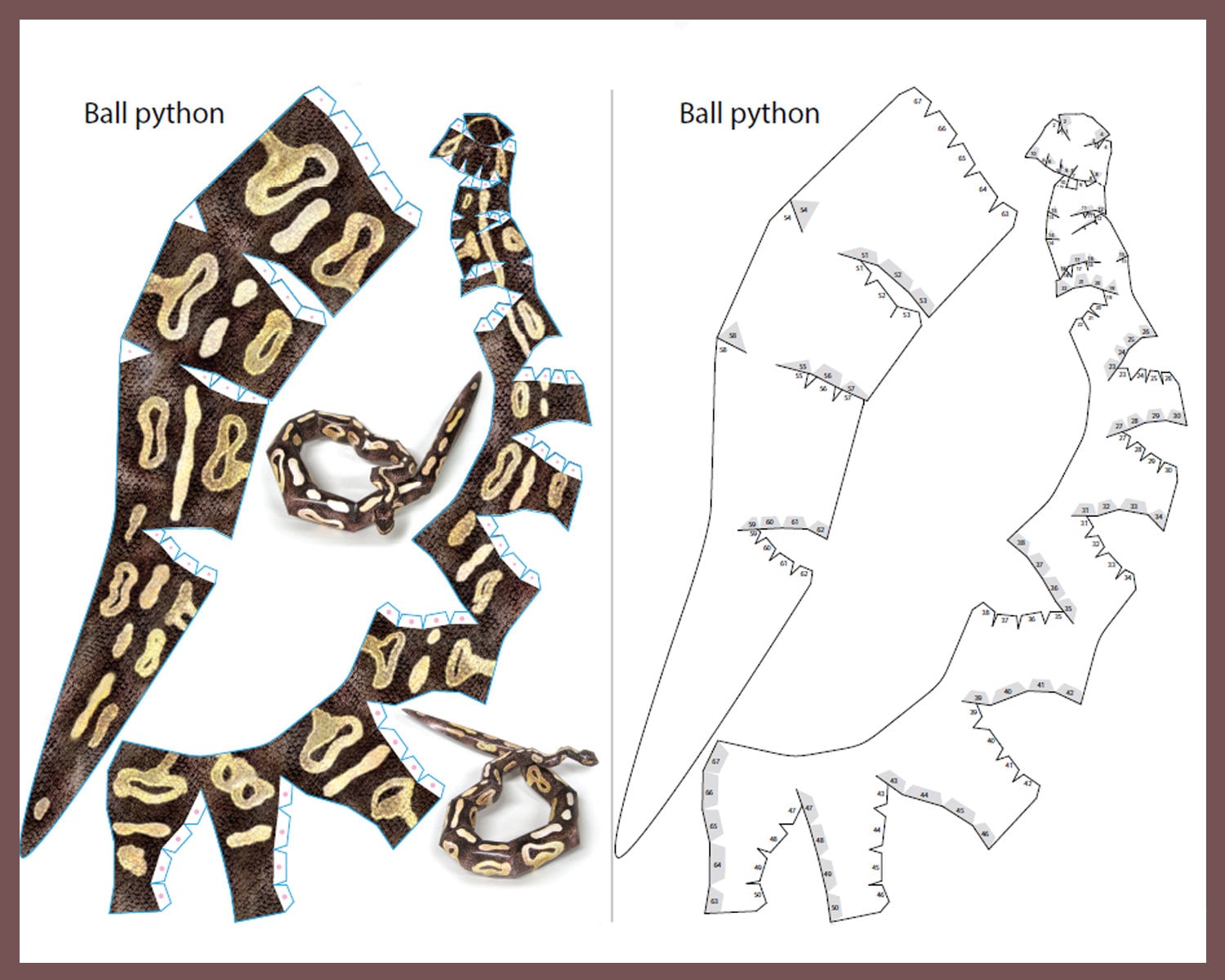 BALL PYTON 3D Papercraft / Papercraft Tiere / Tierskulptur / 3d Modell ...