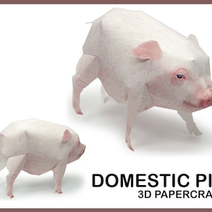 MAIALE DOMESTICO Papercraft 3D / Papercraft con animali / Modello fai da te stampabile pdf / maiale carino / arredamento maiale / scultura papercraft / origami 3d
