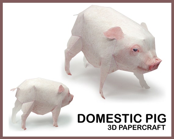 DOMESTIC PIG 3D Papercraft / Animals Papercraft / Printable - Etsy