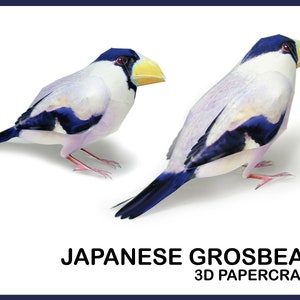 JAPANESE GROSBEAK 3D Papercraft / Papercraft Animals / Papercraft Model / Animal Sculpture / Paper Sculpture / DIY Template Pdf / Digital