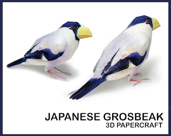 JAPANESE GROSBEAK 3D Papercraft / Papercraft Animals / Papercraft Model / Animal Sculpture / Paper Sculpture / DIY Template Pdf / Digital