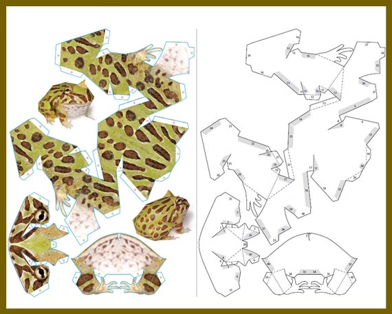 角のあるカエル / 3D ペーパークラフト / カエルの紙の彫刻