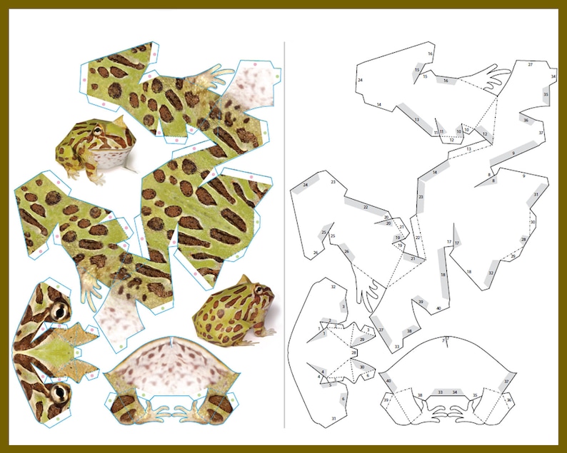 HORNED FROG / 3D Papercraft / Frog Paper Sculpture / Frog Statue / Frog ...