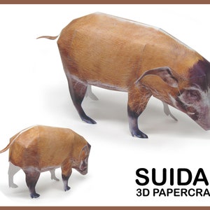 SUIDAE 3D Papercraft / Animals papercraft / papercraft template / 3d origami / papercraft sculpture / papercraft model / instant download